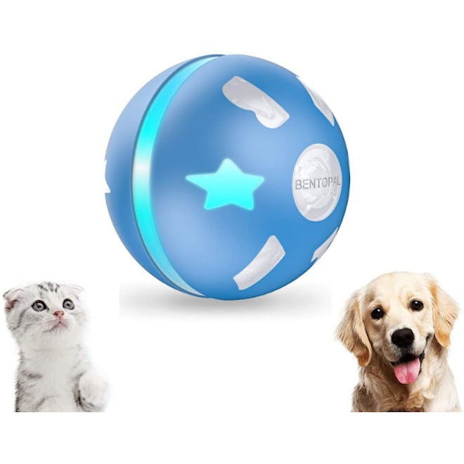 PetDroid Interactive Ball Toy