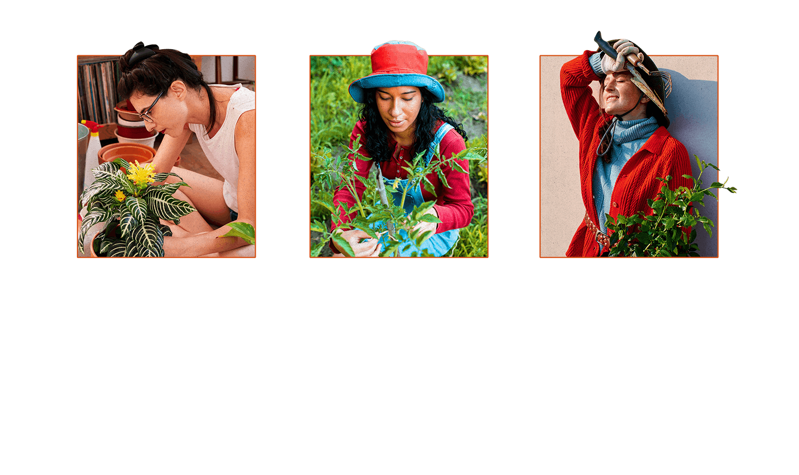 Experts give tips for how to garden in your first backyard.