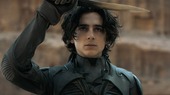 Timothee Chalamet in Dune