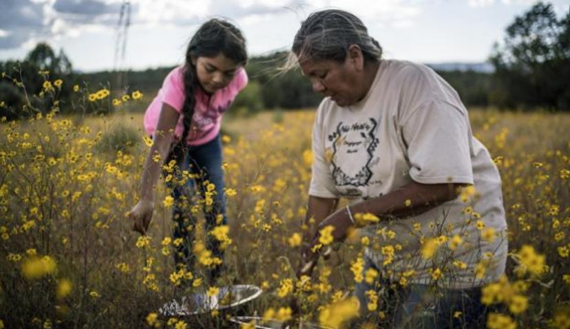 A woman and a child harvest among wildflowers