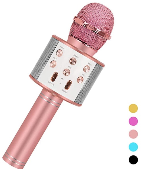 Niskite Wireless Karaoke Microphone