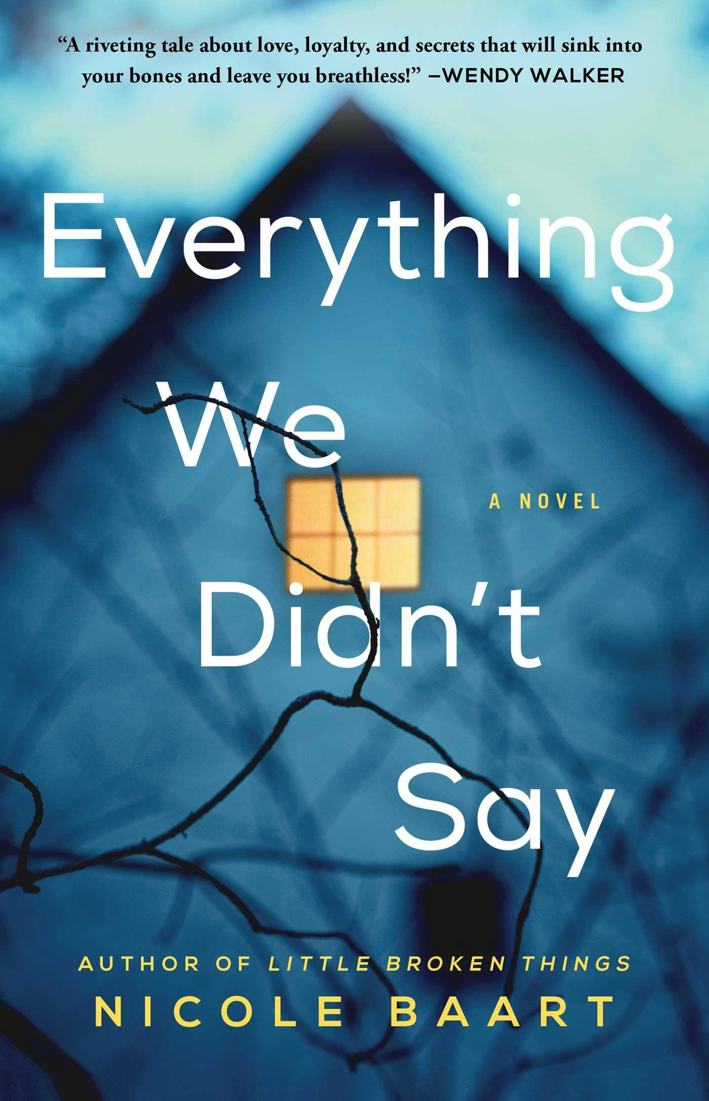 &lsquo;Everything We Didn&rsquo;t Say&rsquo; by Nicole Baart