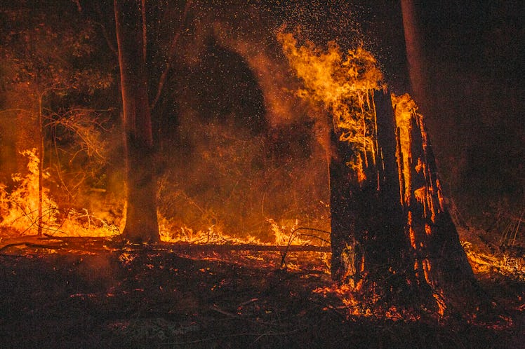 Wildfire burning in Australia
