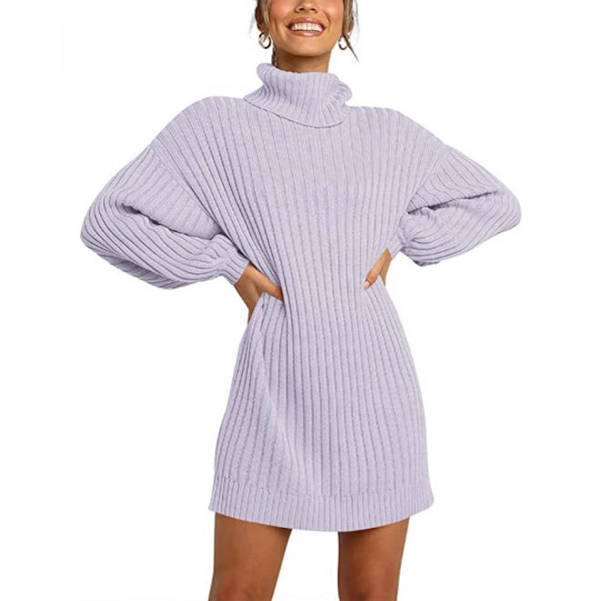 Prinbara Turtleneck Sweater Dress