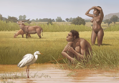 Homo bodoensis, a new species of human ancestor, lived in Africa during the Middle Pleistocene.