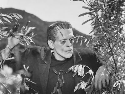 Frankenstein's monster