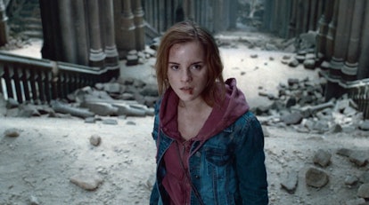 Hermione Granger in Harry Potter and the Deathly Hallows is a recognizable halloween costume.