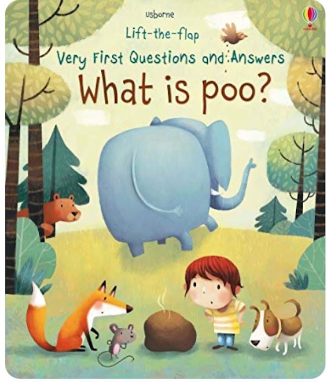 What Is Poo? by Katie Daynes 