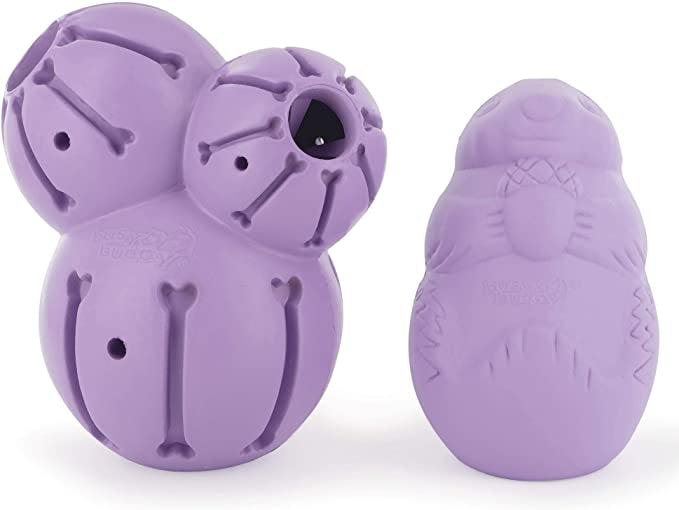 PetSafe Busy Buddy Barnacle Treat Dispensing Dog Toy