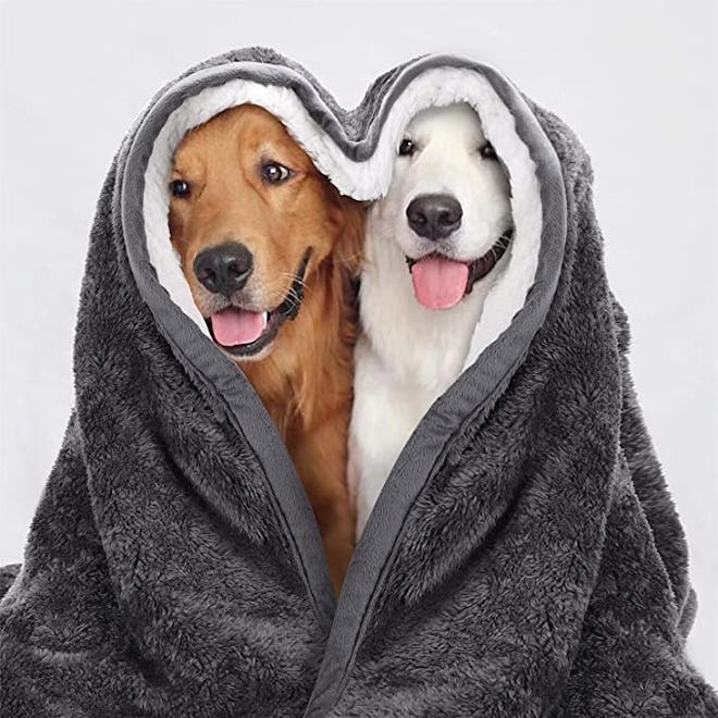 Nobleza Waterproof Dog Blanket