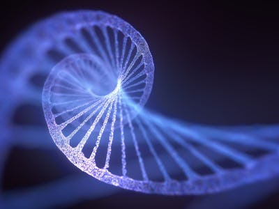 DNA