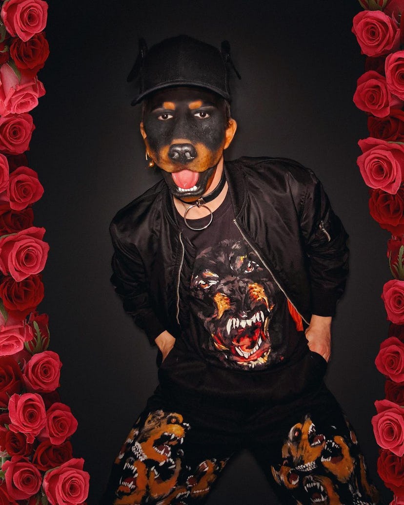 Aquaria in a Rottweiler Halloween costume