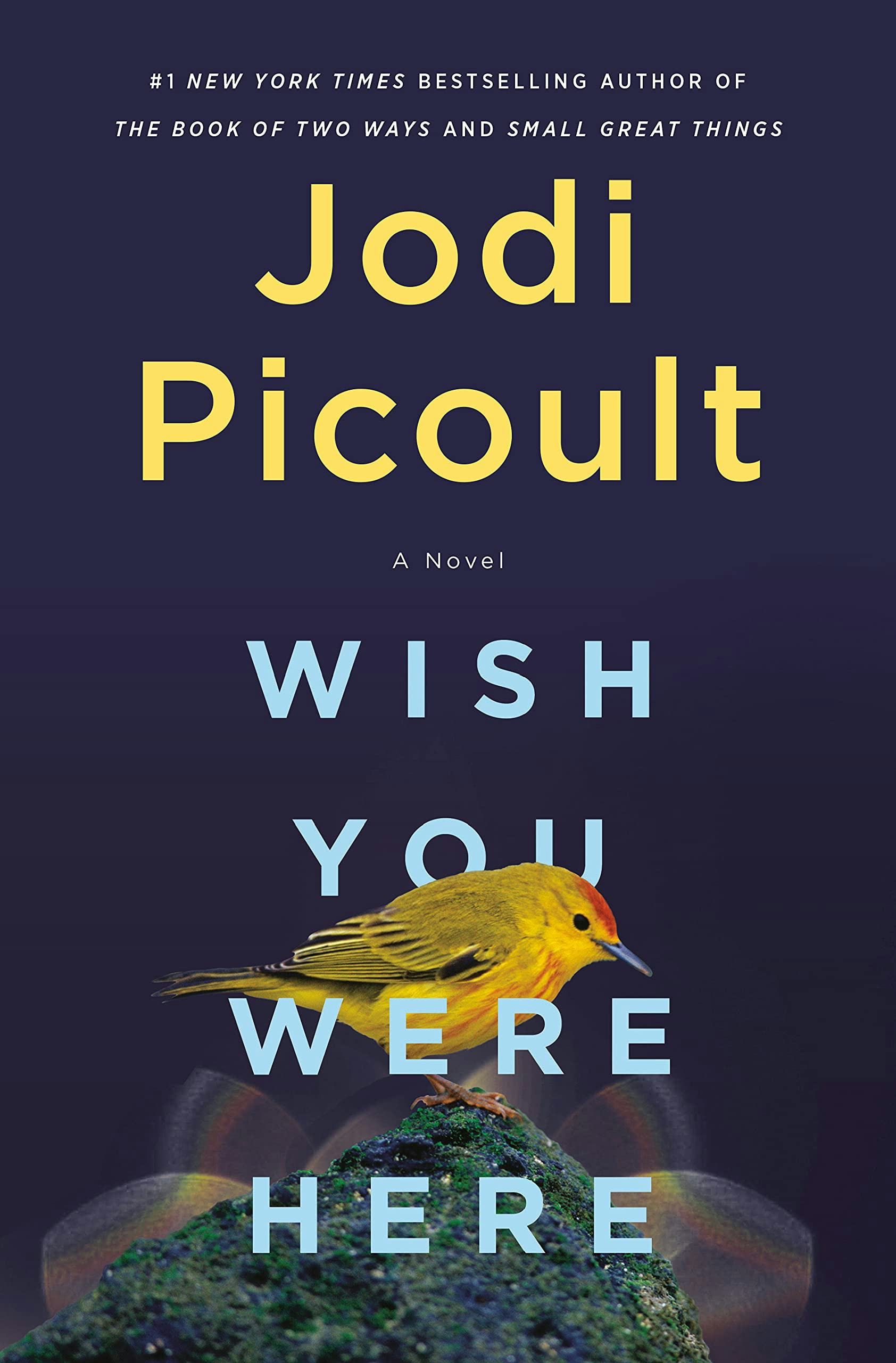 &lsquo;Wish You Were Here&rsquo; by Jodi Picoult