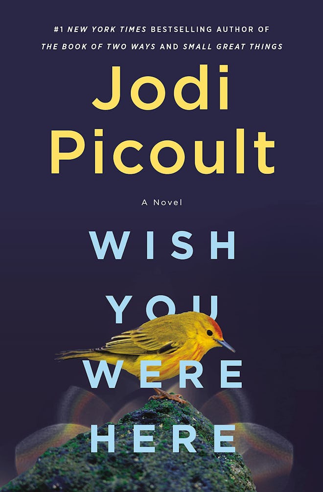 'Wish You Were Here' by Jodi Picoult
