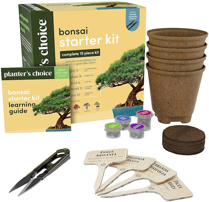 Planters' Choice Bonsai Starter Kit 