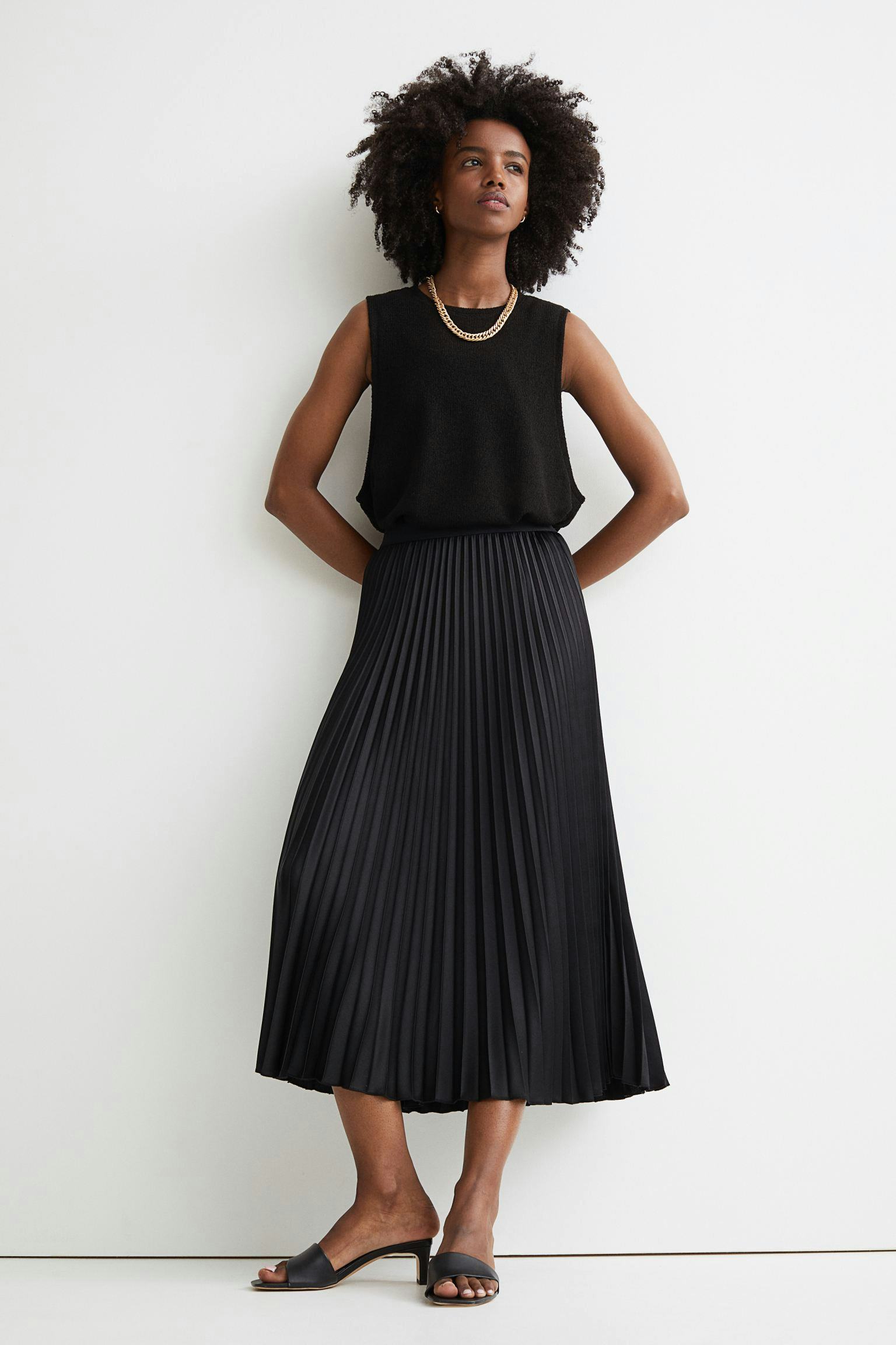 Pleated Skirt