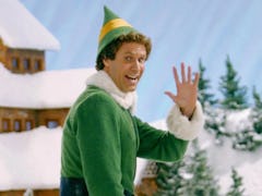 Will Ferrell turned down the opportunity for a sequel to the beloved holiday movie, 'Elf.'