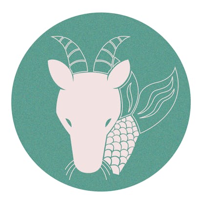 Capricorn zodiac sign illustration