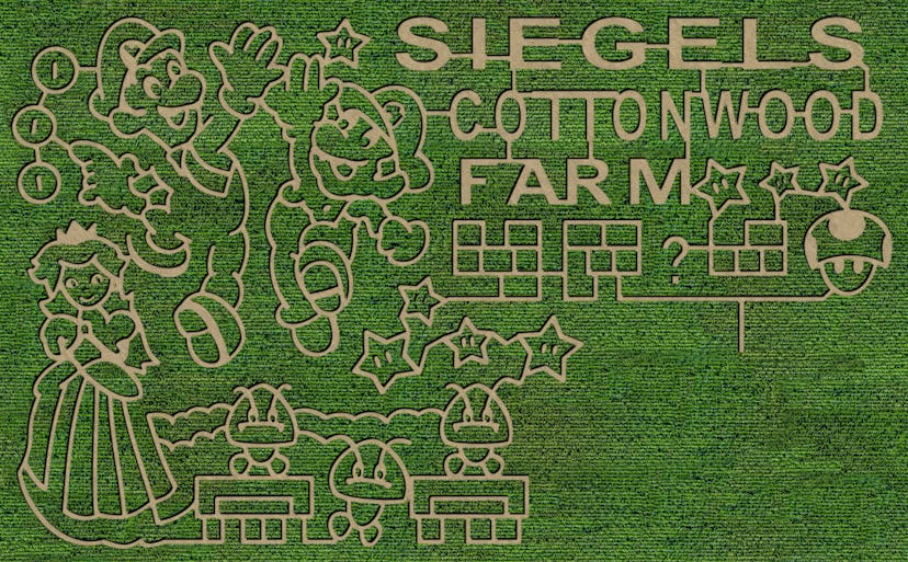 Super Mario Brothers themed corn maze at Siegel's Cottonwood Farm in Lockport, Ill