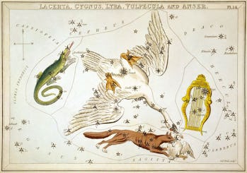 Meteor showers calendar 2022: Dates, times, and how to see them