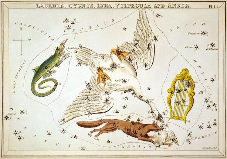 Constellation Lyra astrological map