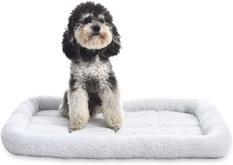 Amazon Basics Faux Sherpa Padded Bolster Pet Bed