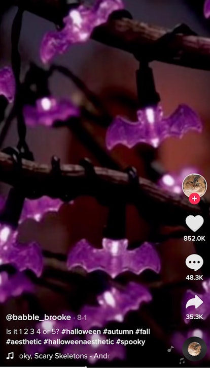 Bat string lights are part of Halloween aesthetics on TikTok. 