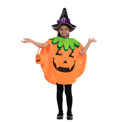 Big Pumpkin With Witch Hat