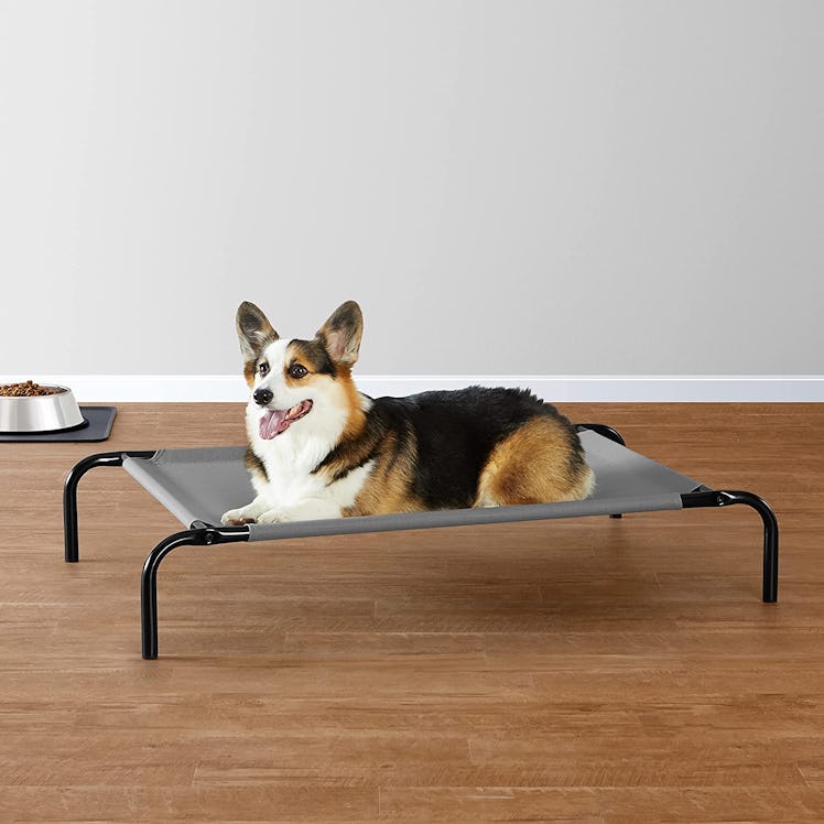 Amazon Basics Cooling Elevated Pet Bed