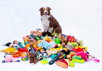 These Challenging Toys Were Made For Smart Dogs & Are Perfect For Your  Genius Pup