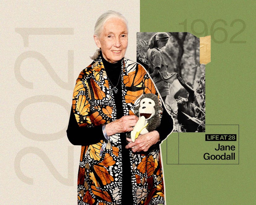 Jane Goodall