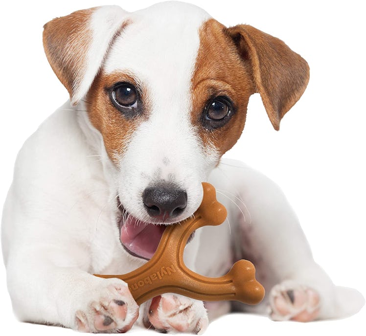 Nylabone Power Chew Toy