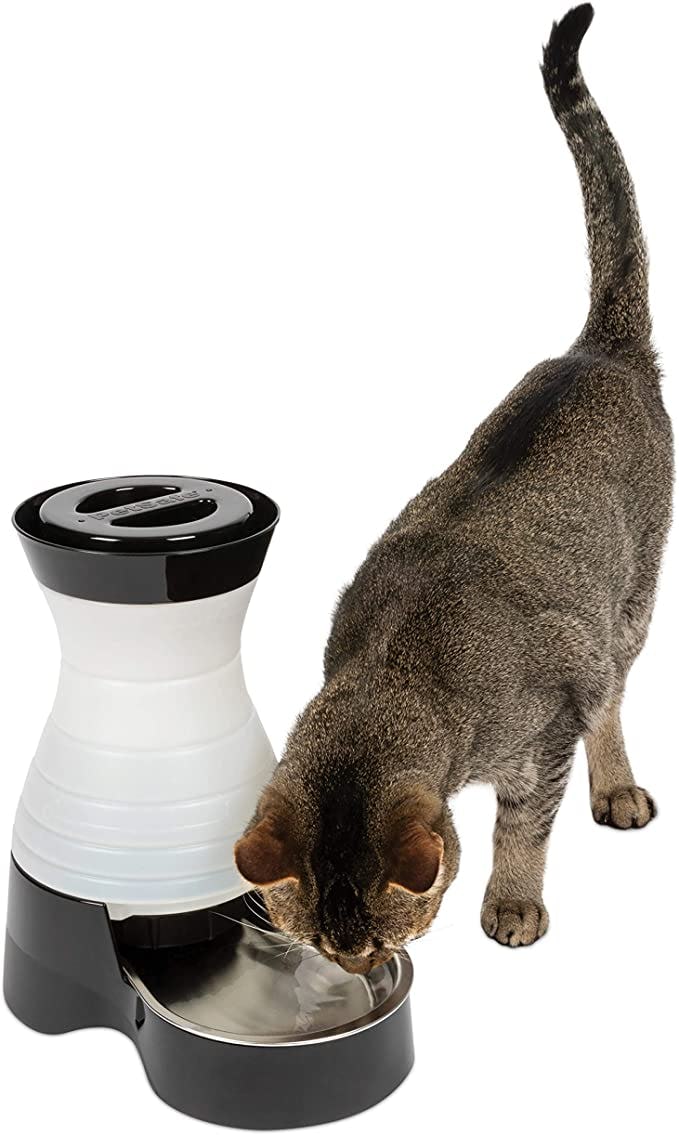 PetSafe Healthy Pet Gravity Food or Water Station