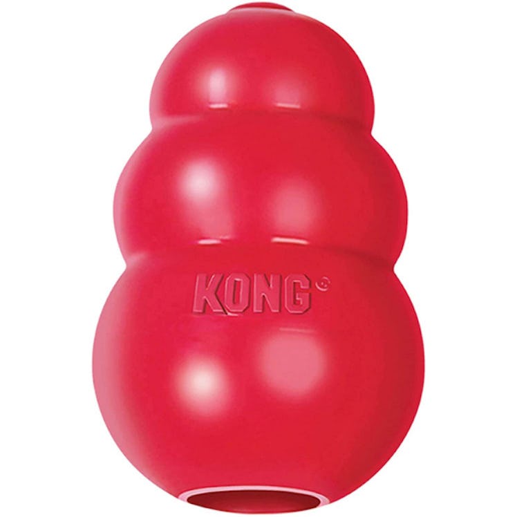 KONG Classic Dog Toy