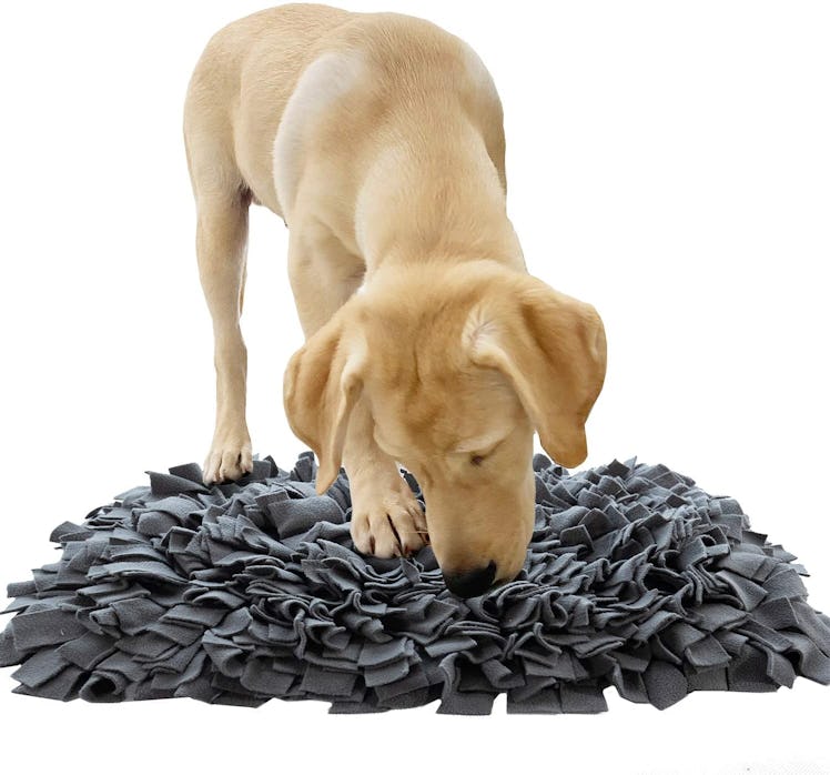 YINXUE Pet Snuffle Mat