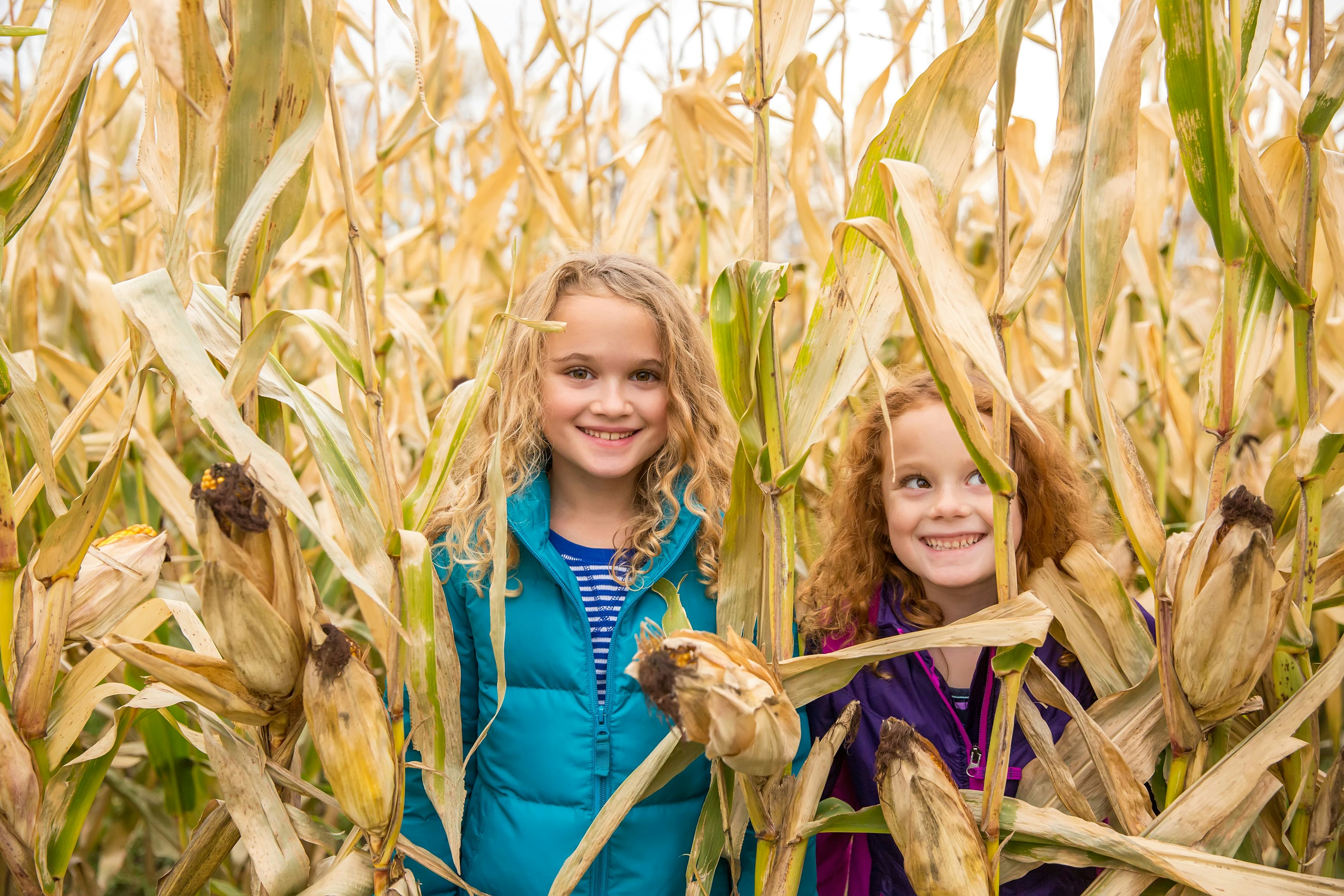 two young girls in a corn maze 