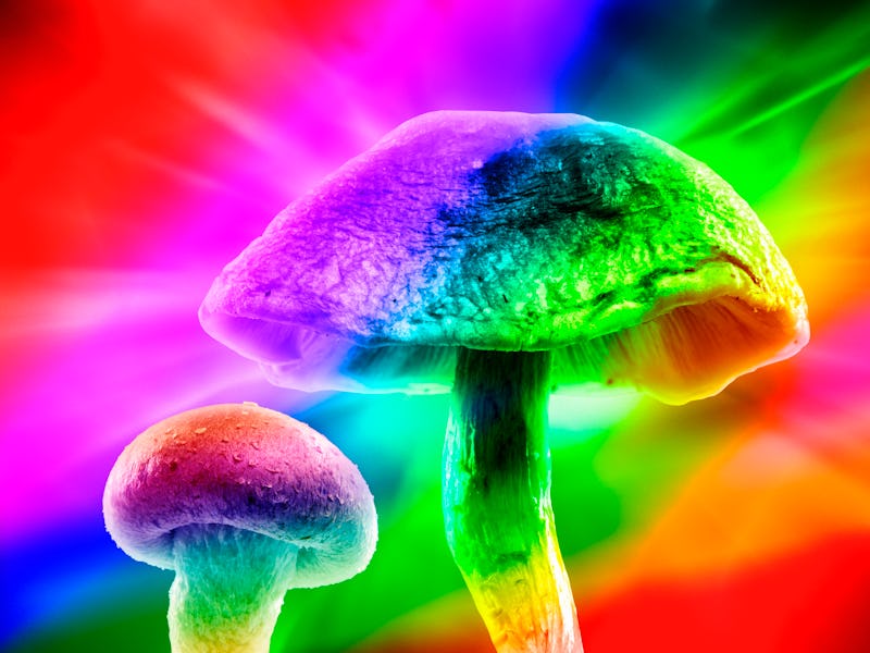 magic mushrooms