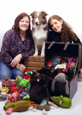 Genius dog experiment