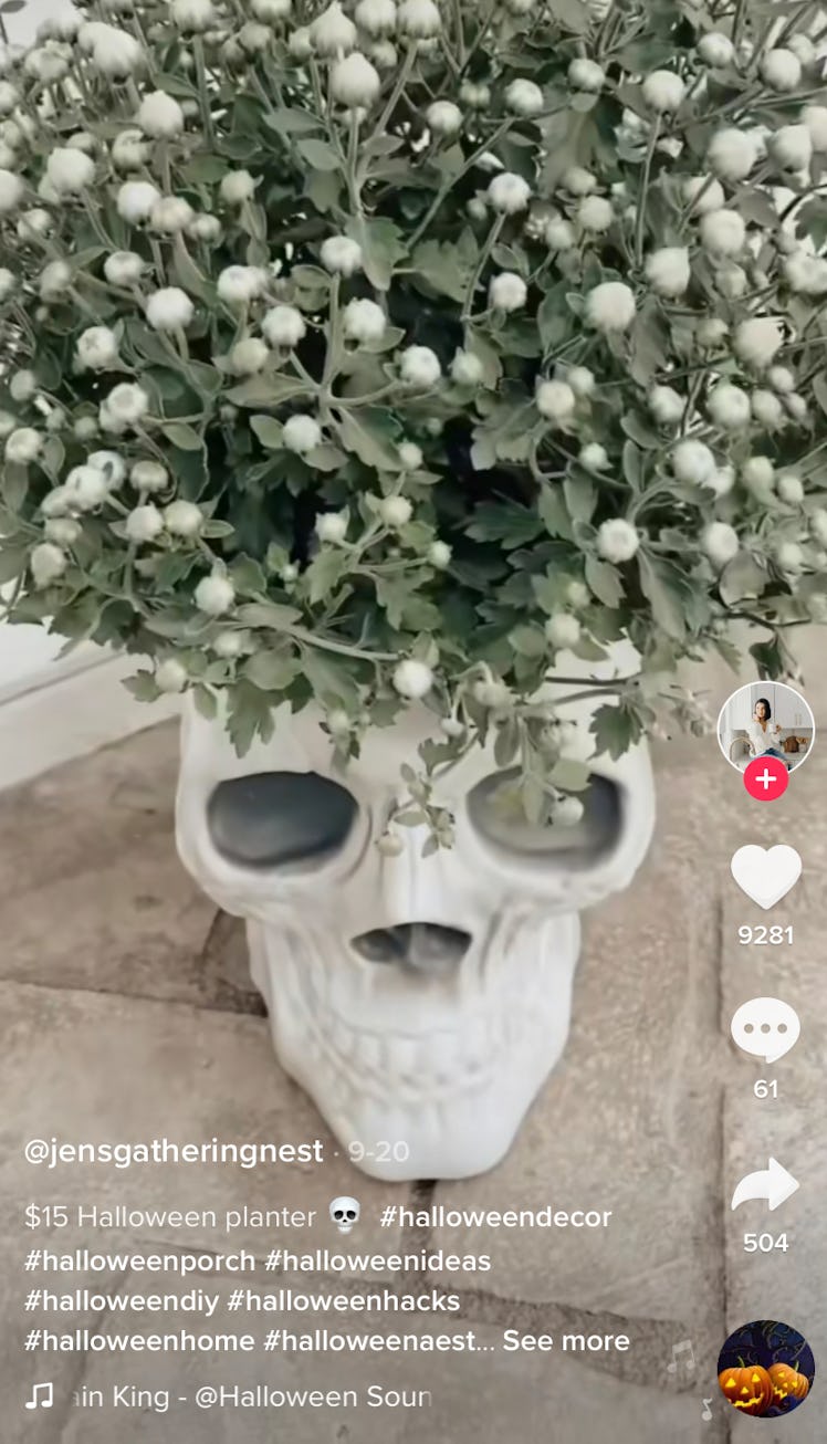 A skull planter is a DIY idea for decor and Halloween aesthetics on TikTok. 