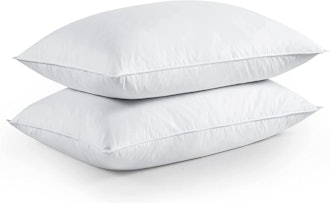 puredown Feather and Down Pillow (2-Pack) 