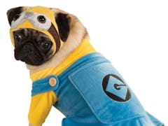 The Halloween Express 2021 pet costumes includes a Minion dog costume. 