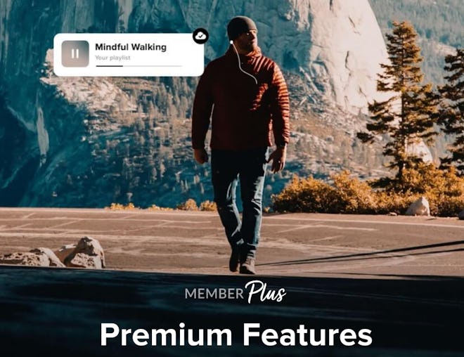 Insight Timer  member subscription