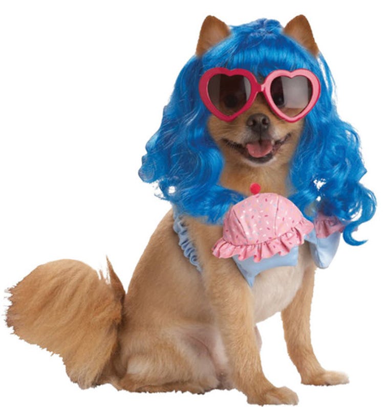 This Katy Perry dog costume is part of the Halloween Express 2021 pet costumes for this year.