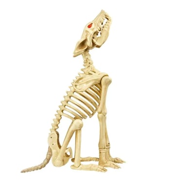 These Home Depot Halloween decorations include an animated wolf skeleton.