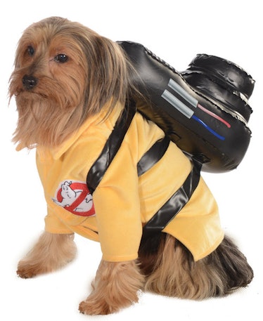 This Ghostbuster costume is part of the Halloween Express 2021 pet costumes collection. 