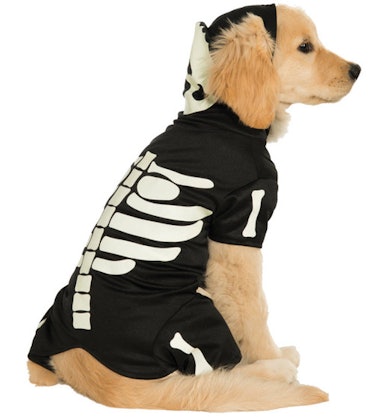 This skeleton costume looks like a Phoebe Bridgers onesie and is part of Halloween Express' 2021 pet...