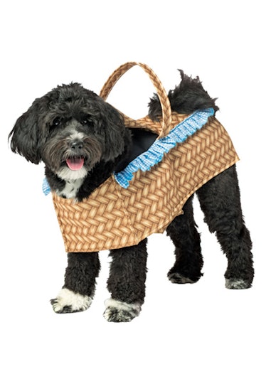 Dog Basket Pet Costume