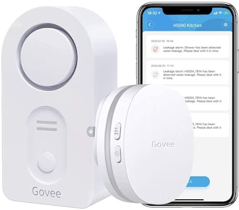 Govee Wi-Fi Water Sensor 