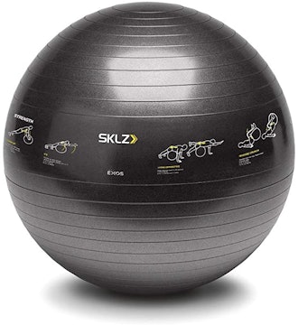  SKLZ Sport Performance Exercise Ball 