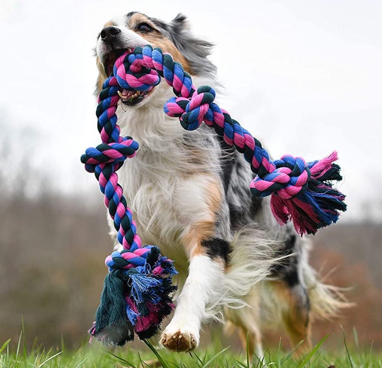 Mammoth Flossy Chews Color Rope Tug